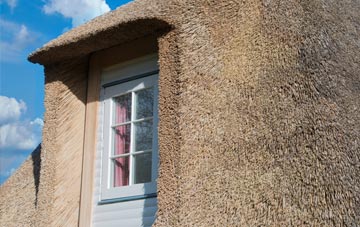 Trewassa thatch roof disadvantages